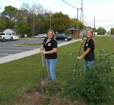 Arbor Day 4