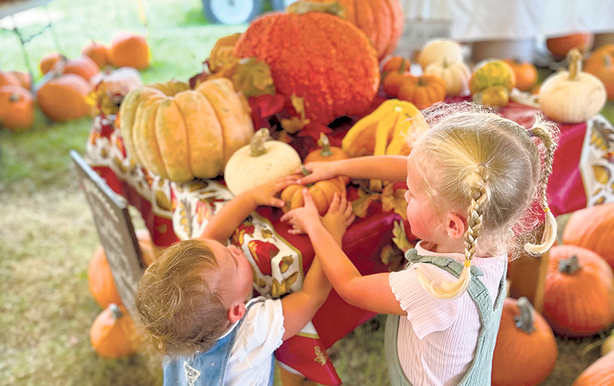 Staff Photo / With so many pumpkins to choose from, two inquisitive youngsters find that selecting just one pumpkin is a hard task.