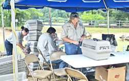 HS_Cat_Sanctuary_06-11
