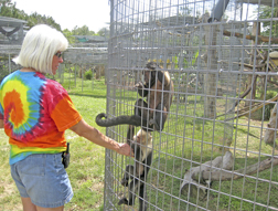 W_-_Jungle_Friends_IMG_1326_copy