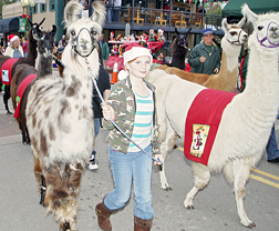 Alachua_Parade_DSCF5278_copy