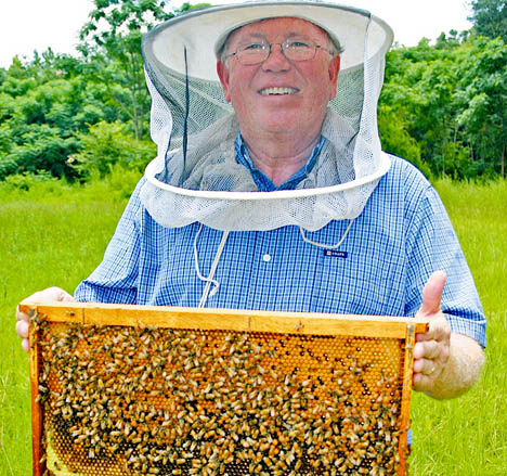 Bees_Hitchock_019