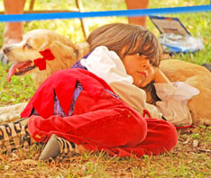 MuttsPups2