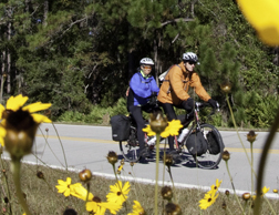 Newberry_Bike_Florida