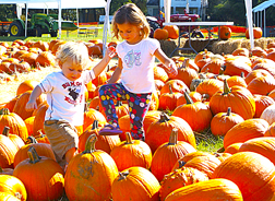 PumpkinPatch